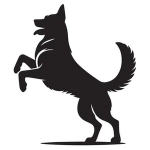 Animaux