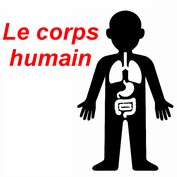 Corps humain