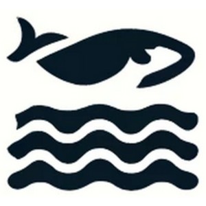 Océans