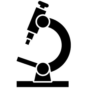 Ecritures